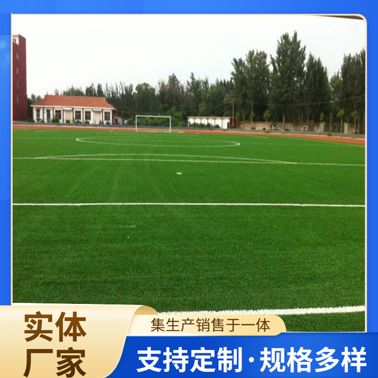 沈阳新民市学校塑胶跑道人造草坪 - 价格